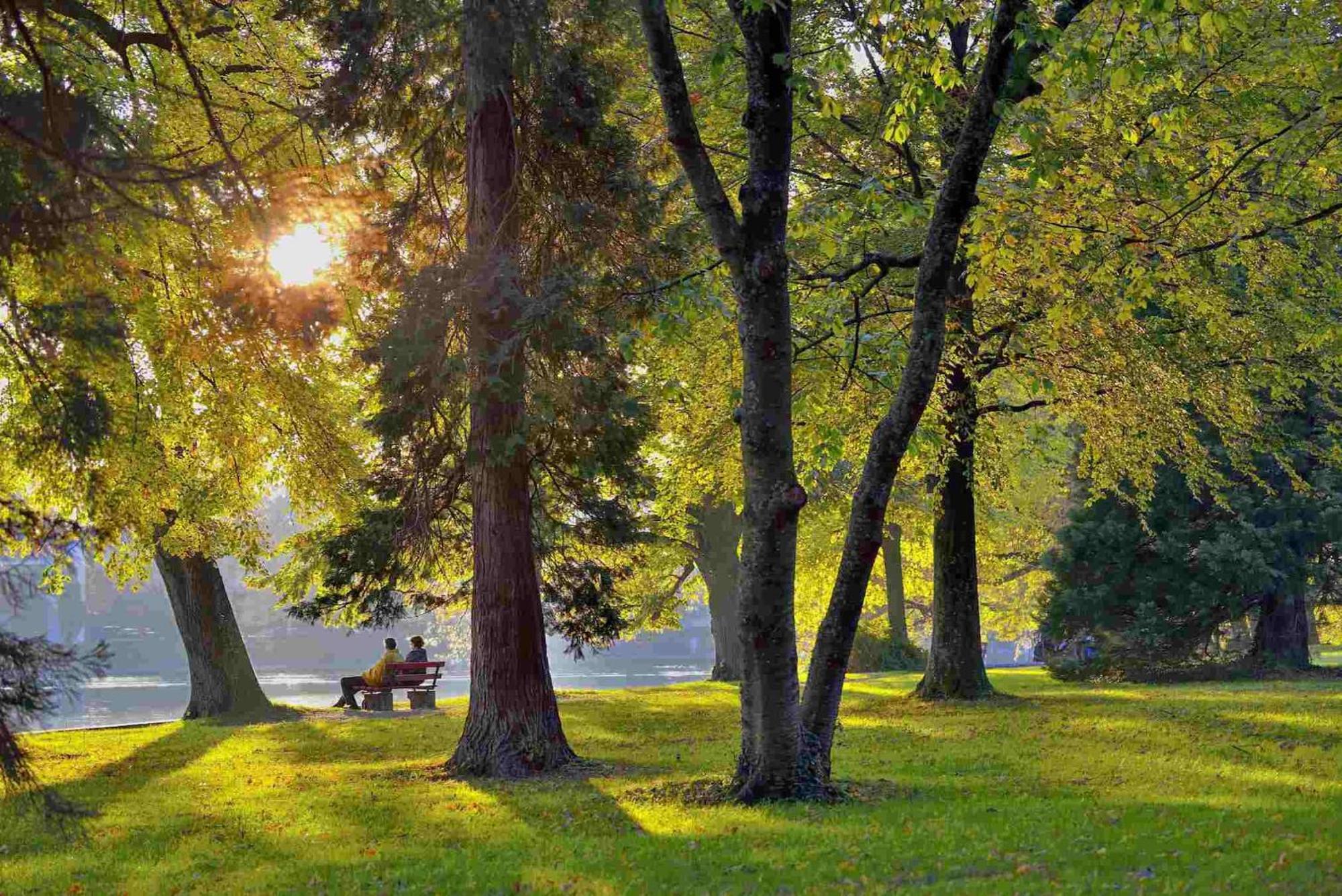 Ferienwohnung Luxus Am Toskanapark Lindau  Exteriör bild